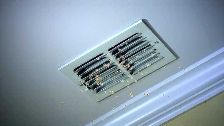 Best Affordable Air Duct Cleaning  in , MA